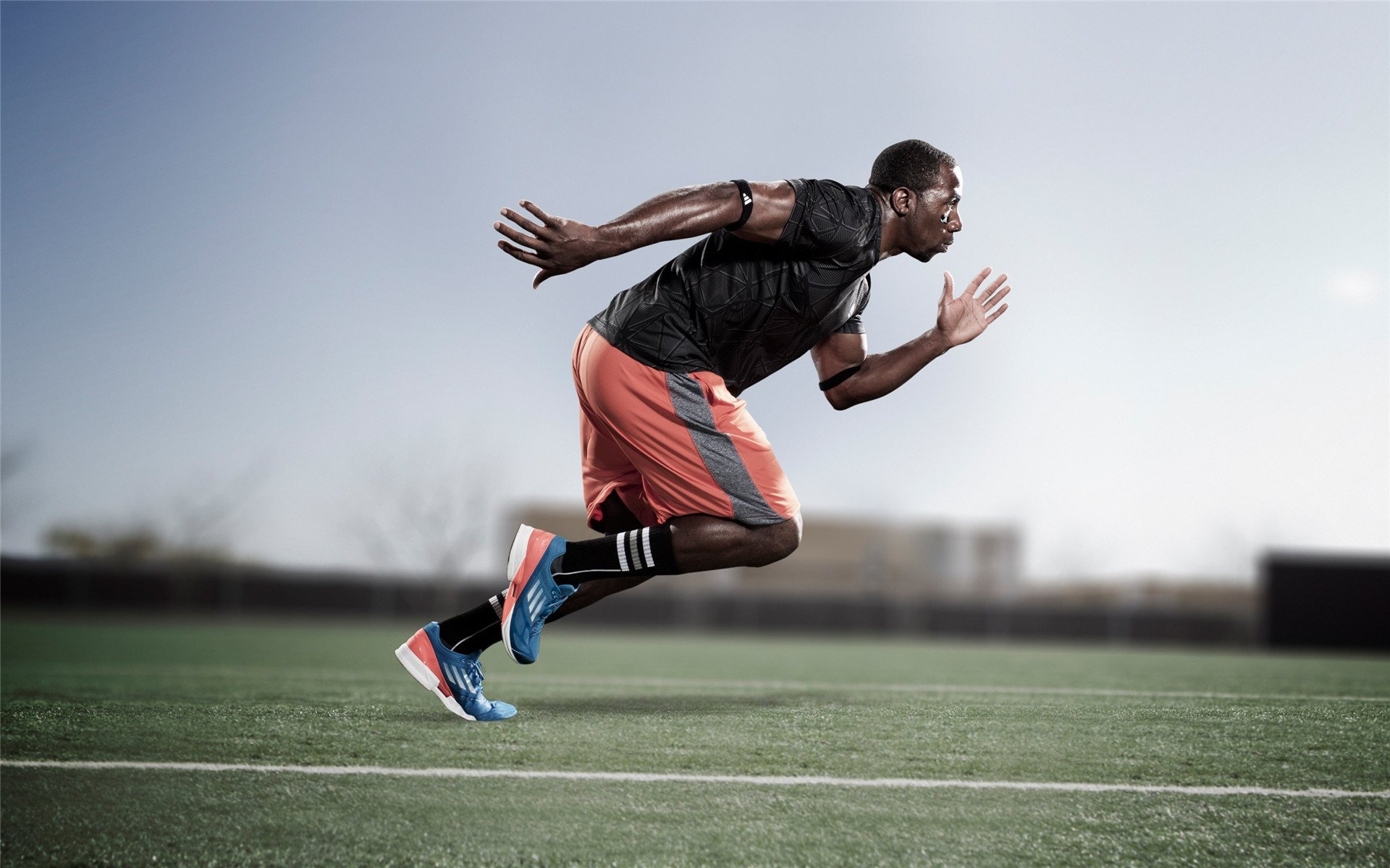 开云体育登入口-专题访谈：冠军背后的故事，冠军访谈节目